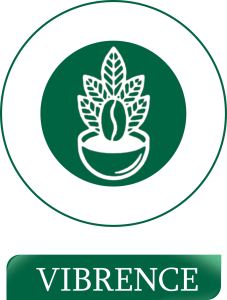 لوگو ویبرنس